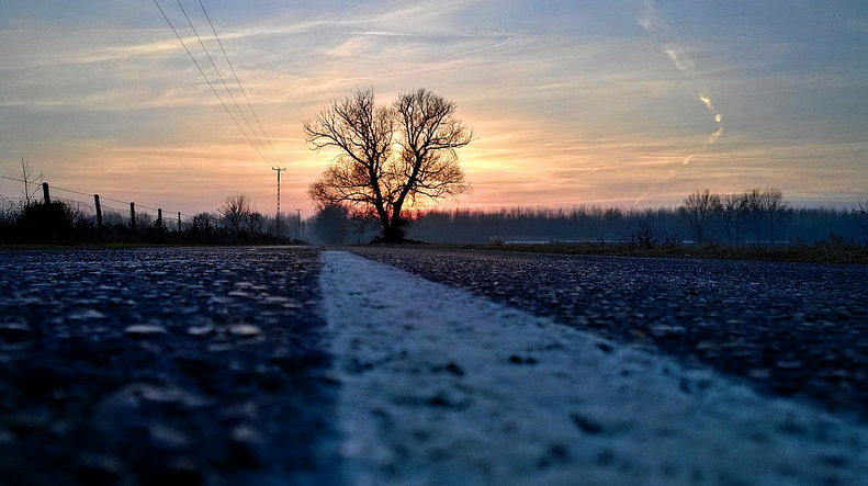 MVC-DECEMBER-DAVE-DETKO