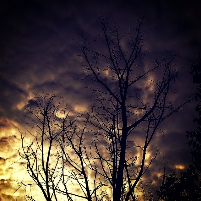 instagram3