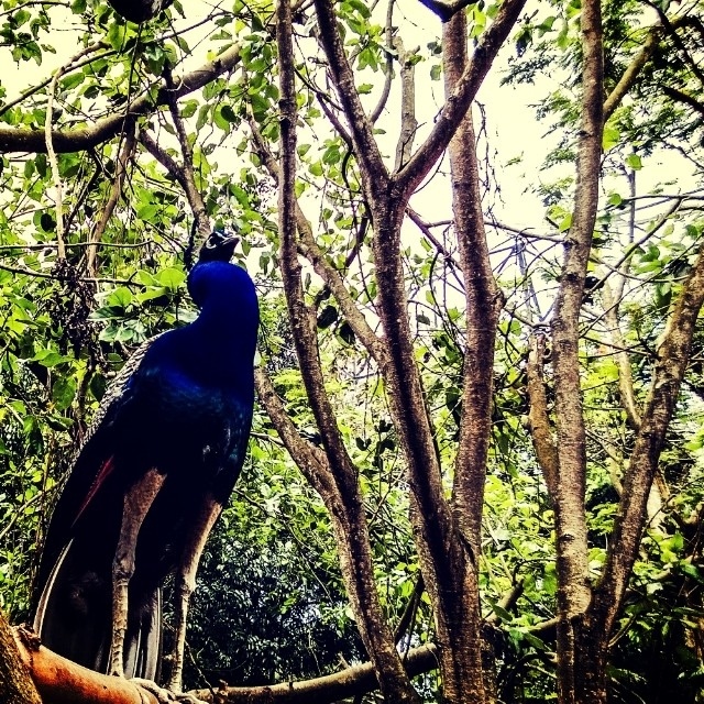 instagram5