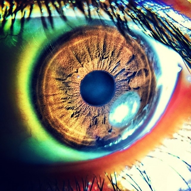 instagram6
