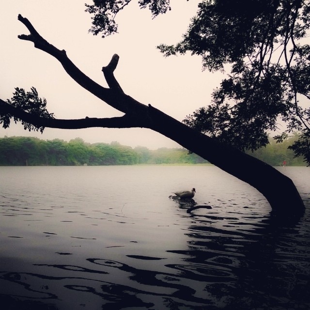 instagram8