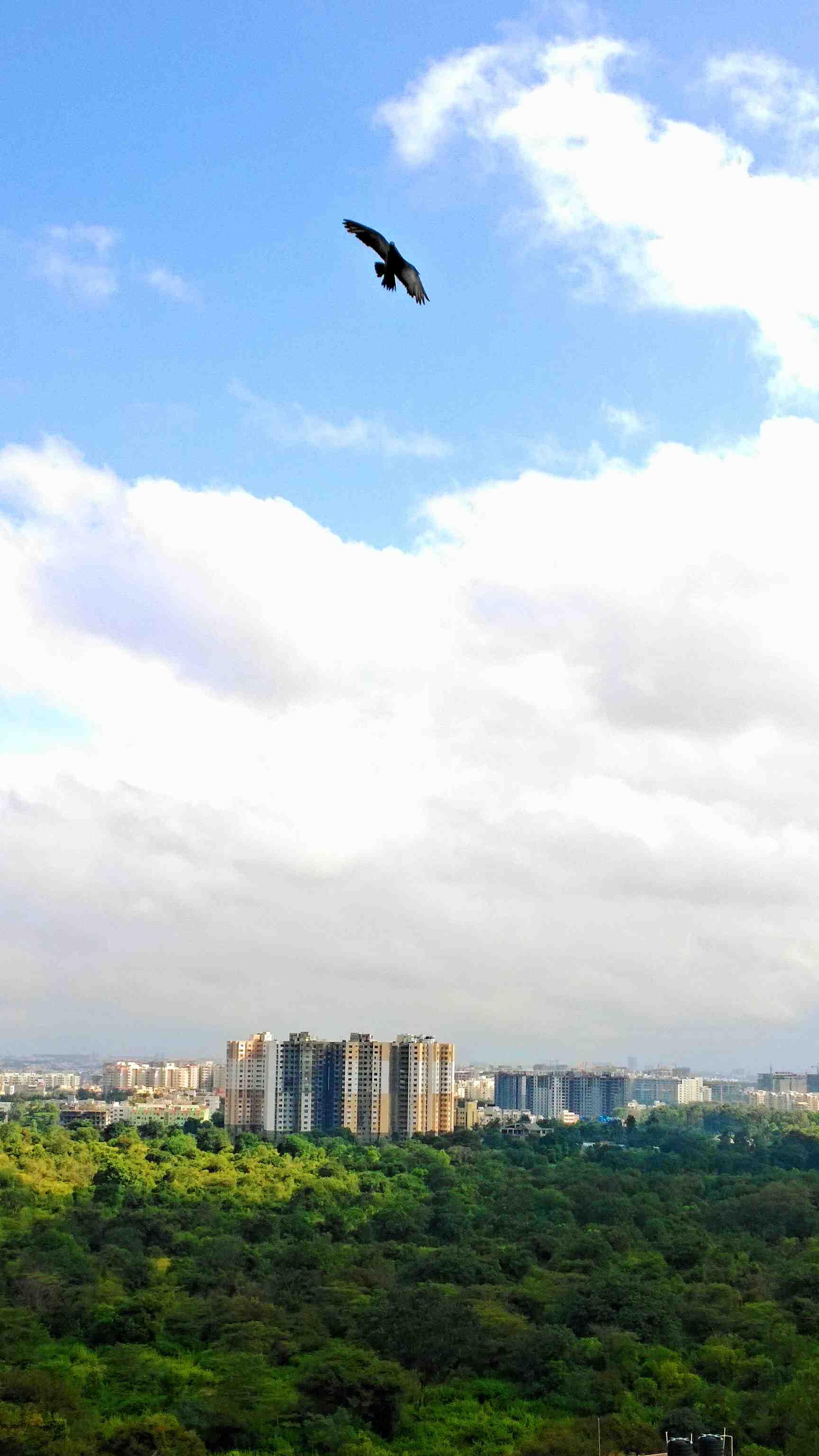 nokia lumia 1020 kaveer rai 3