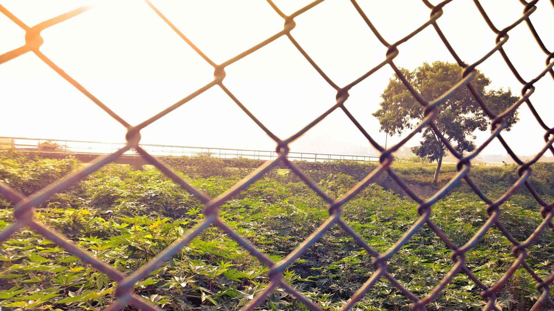 nokia lumia 1020 kaveer rai 4