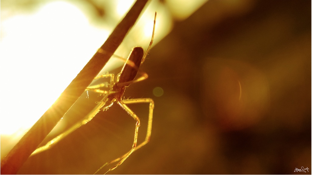 Screen Shot 2014-02-24 at 3.01.06 PM