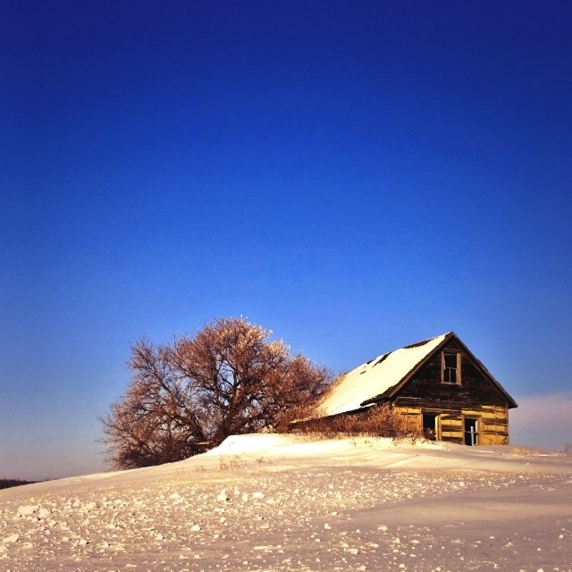 instgram10