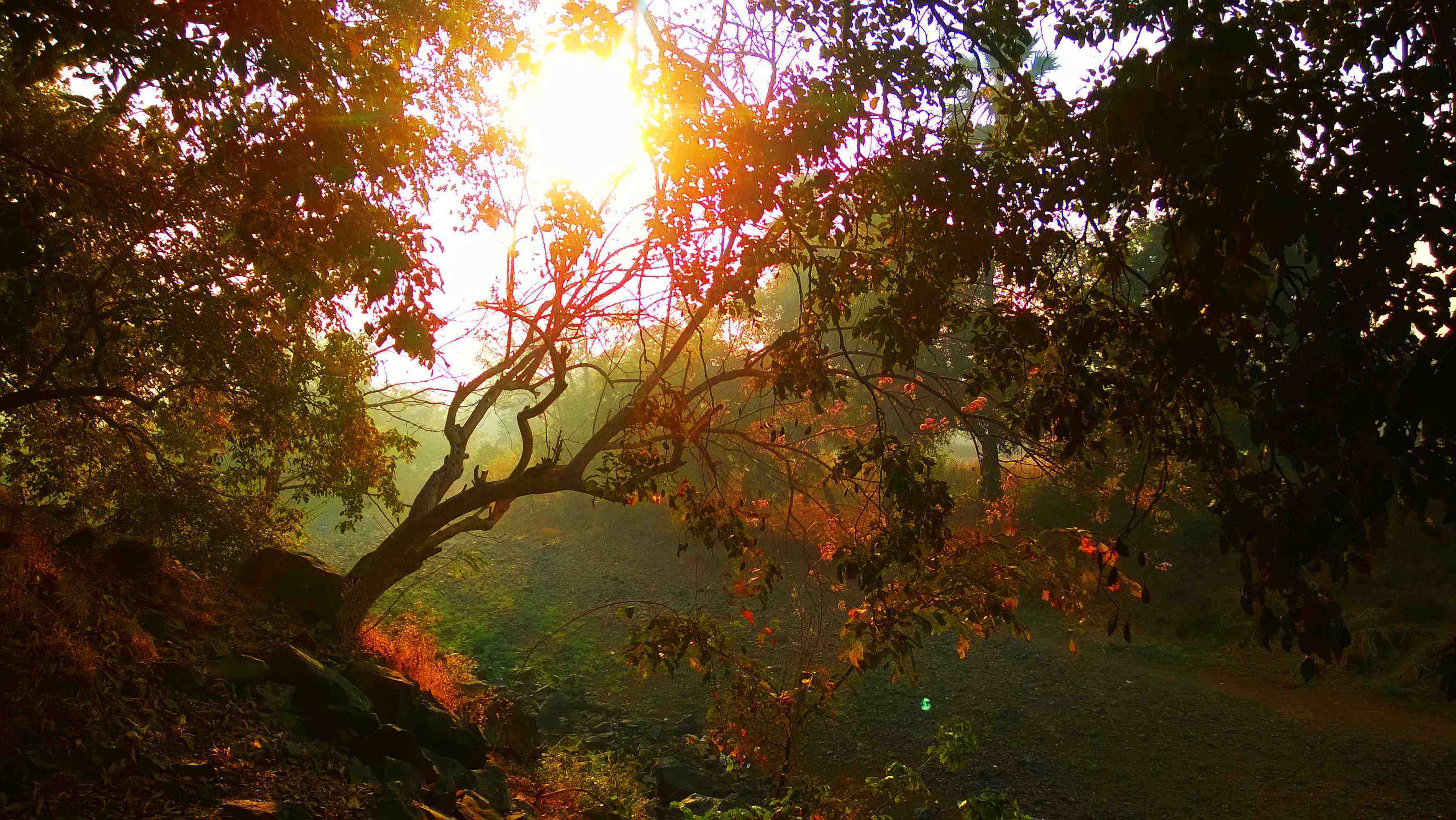 Lumiainstagram2