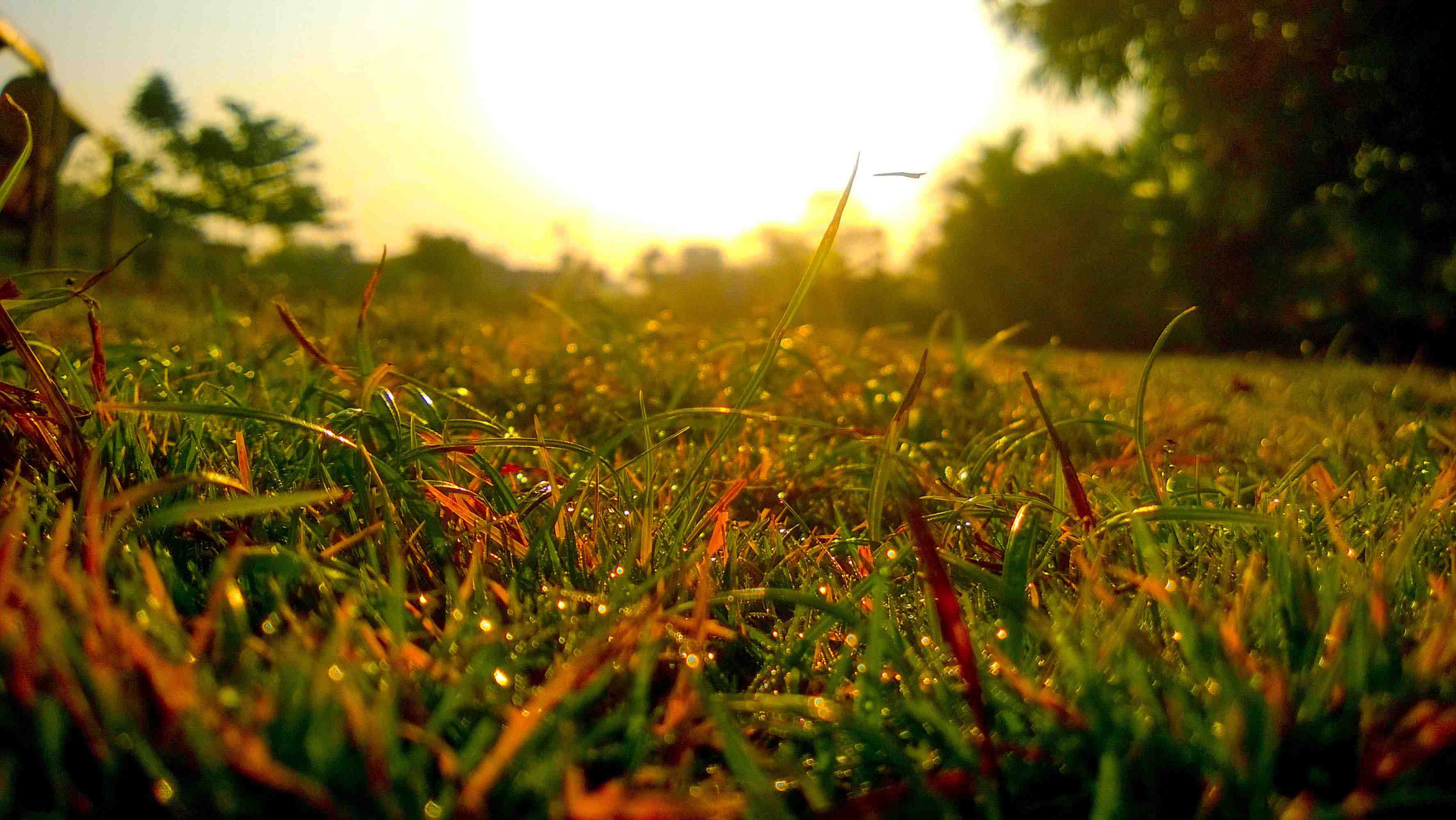 Lumiainstagram9