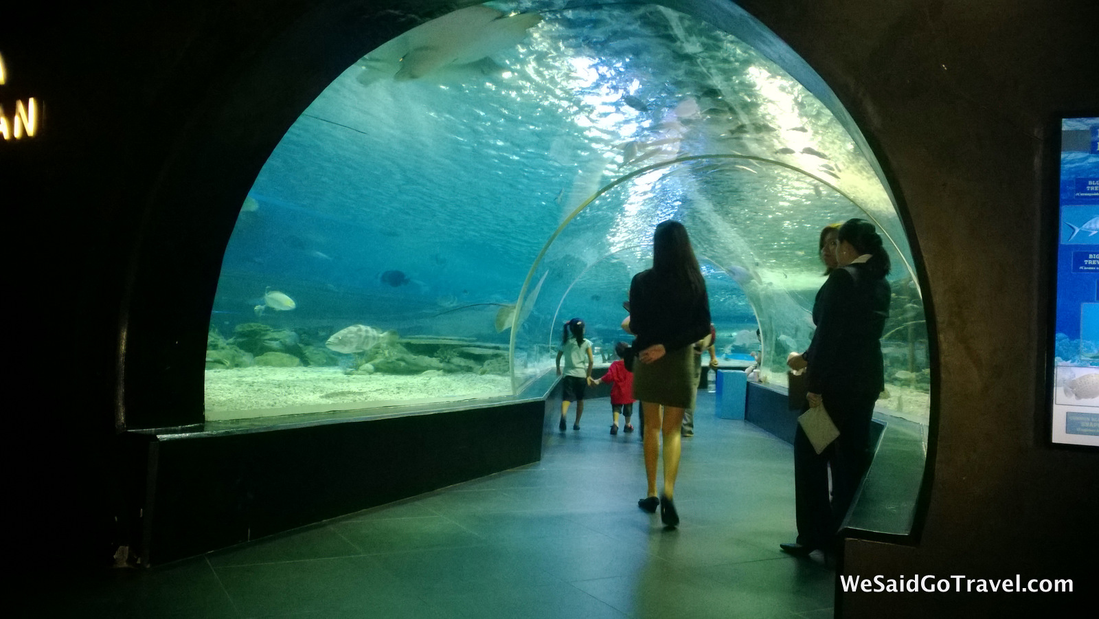 Manila Aquarium Hotel H20