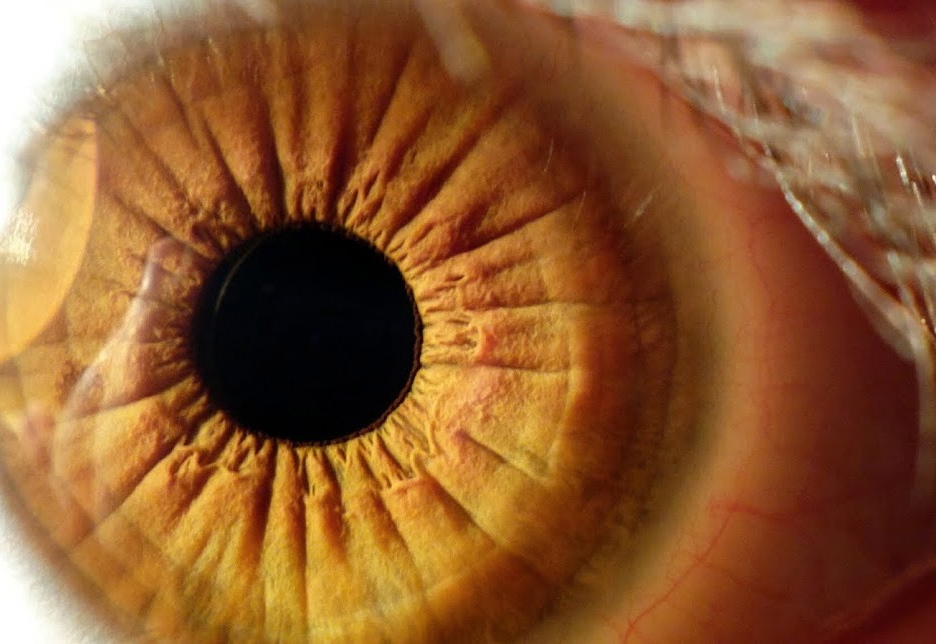 lumia macro 1