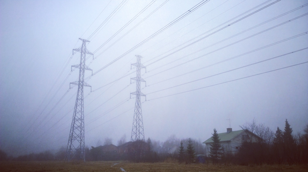 bluefog