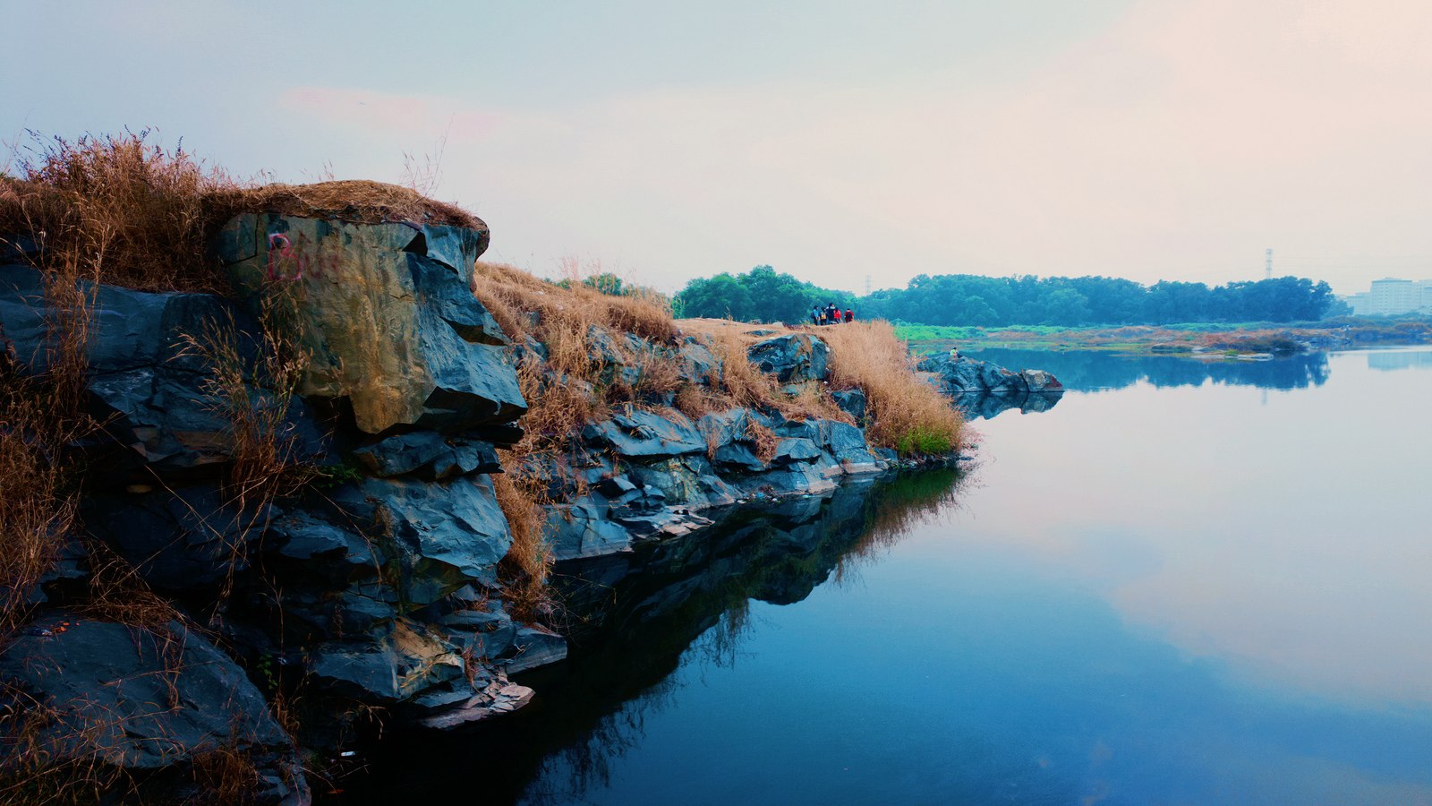 vietnamLumia2