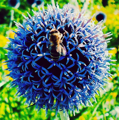 szabss_nokia_lumia_challenge