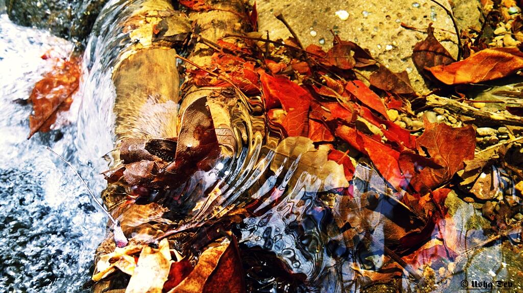 usha_Nokia_Lumia_Challenge