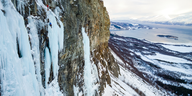 RedBull-Partnership-in-line-1