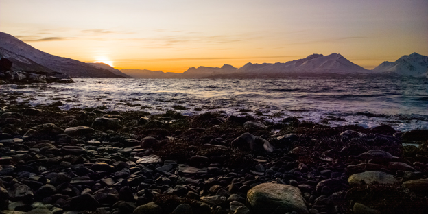 RedBull-Partnership-in-line