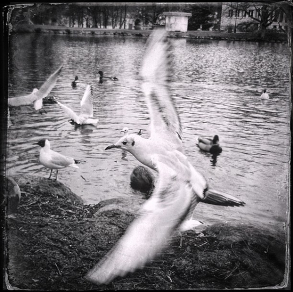 anthony hunter lumiaBW