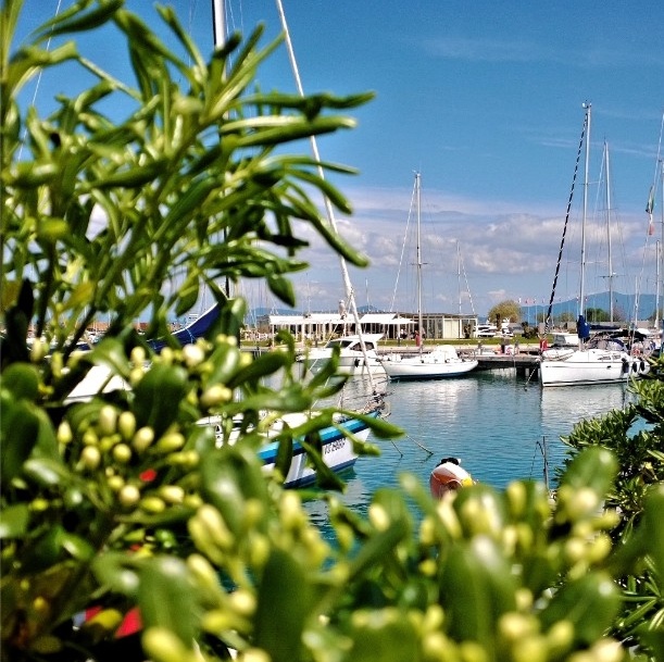 Taking a peek at the view