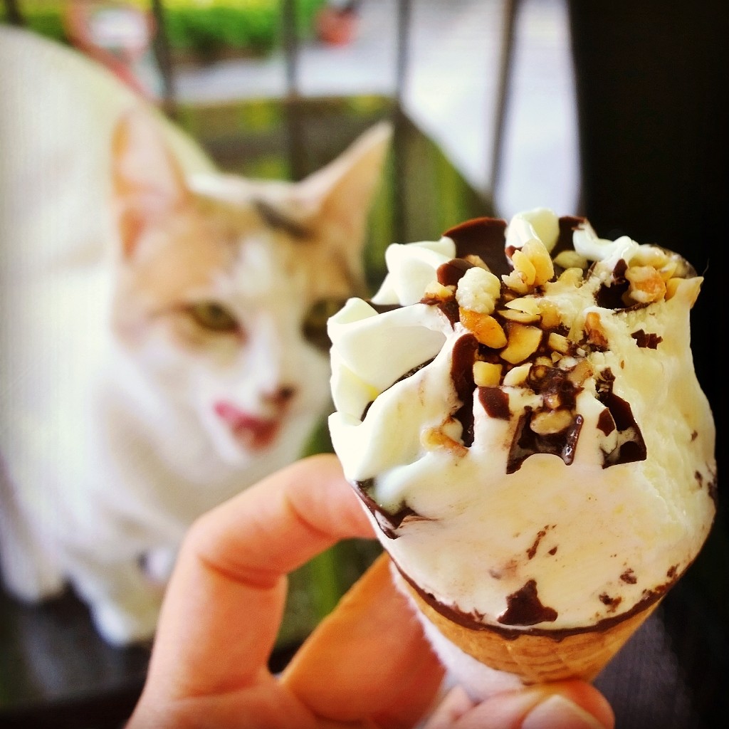 lumia instagramer elvira russo