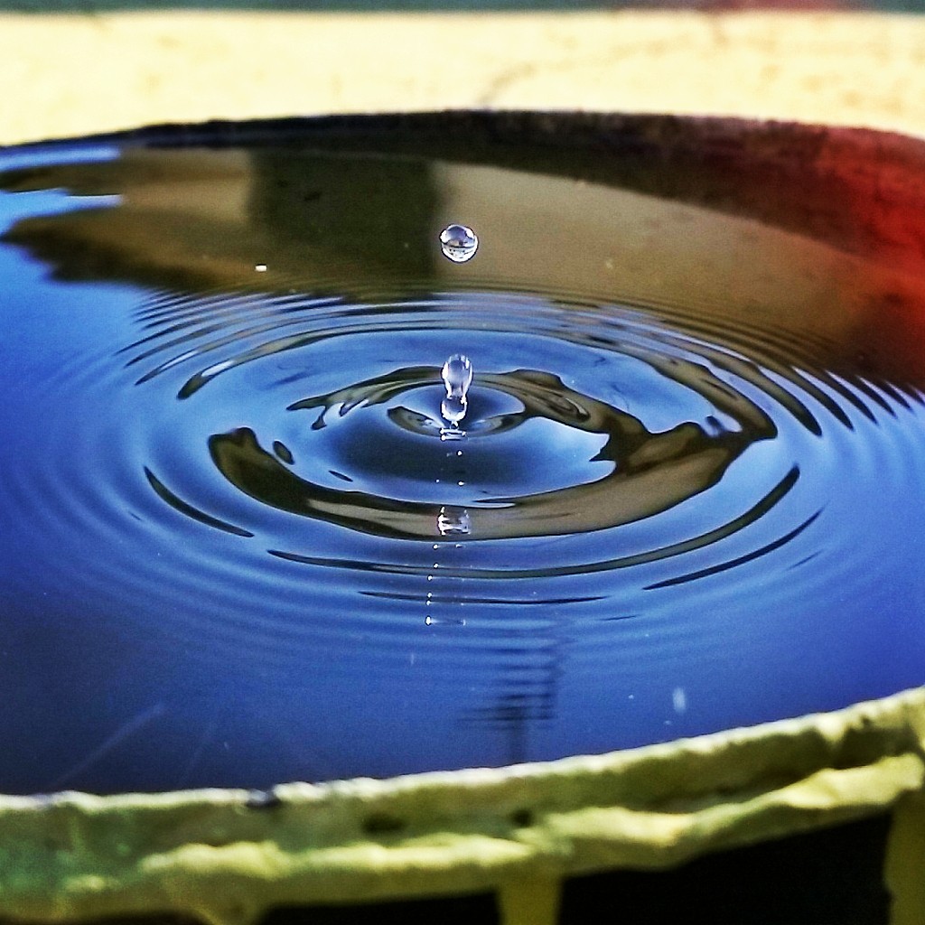 lumia instagramer elvira russo