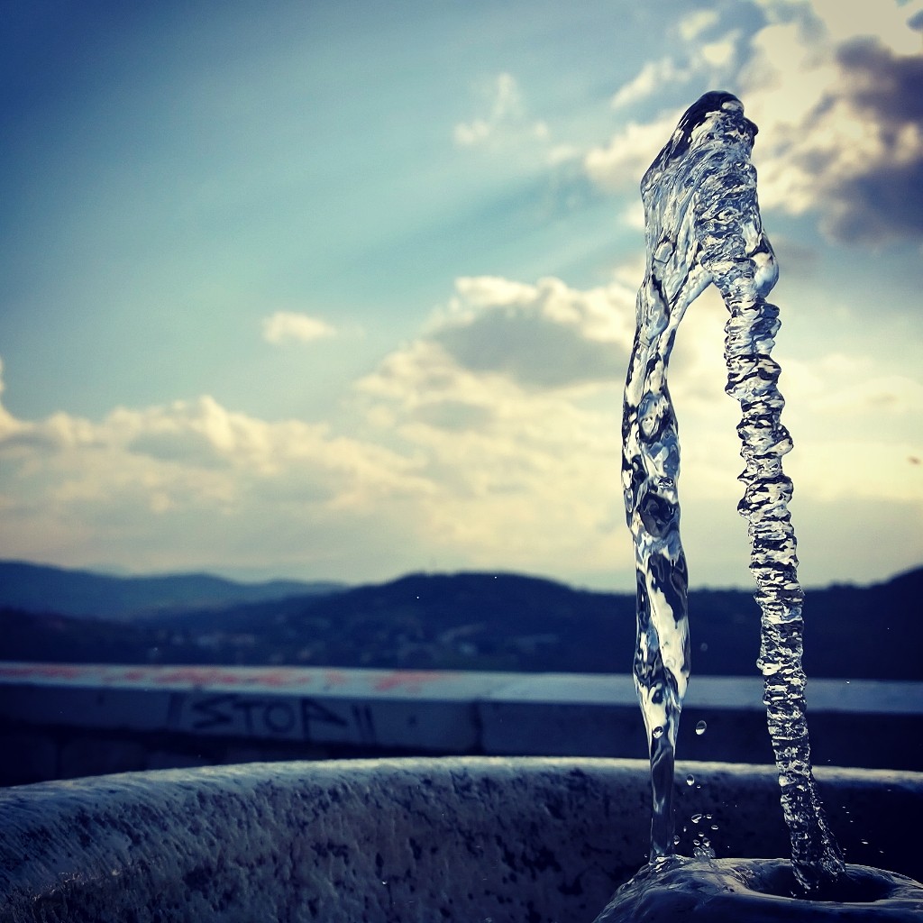 lumia instagramer elvira russo