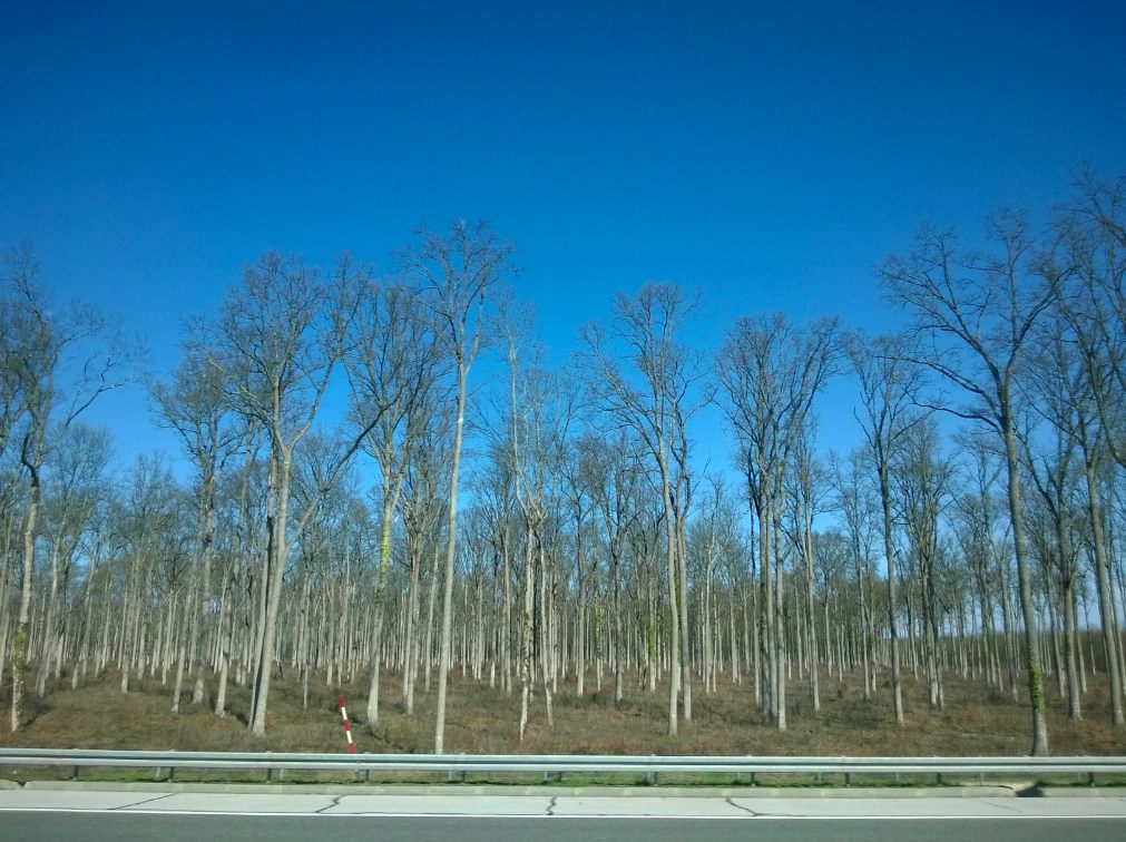 lumia1020tips3