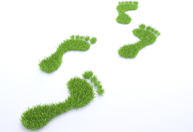 Carbon-footprint_feat
