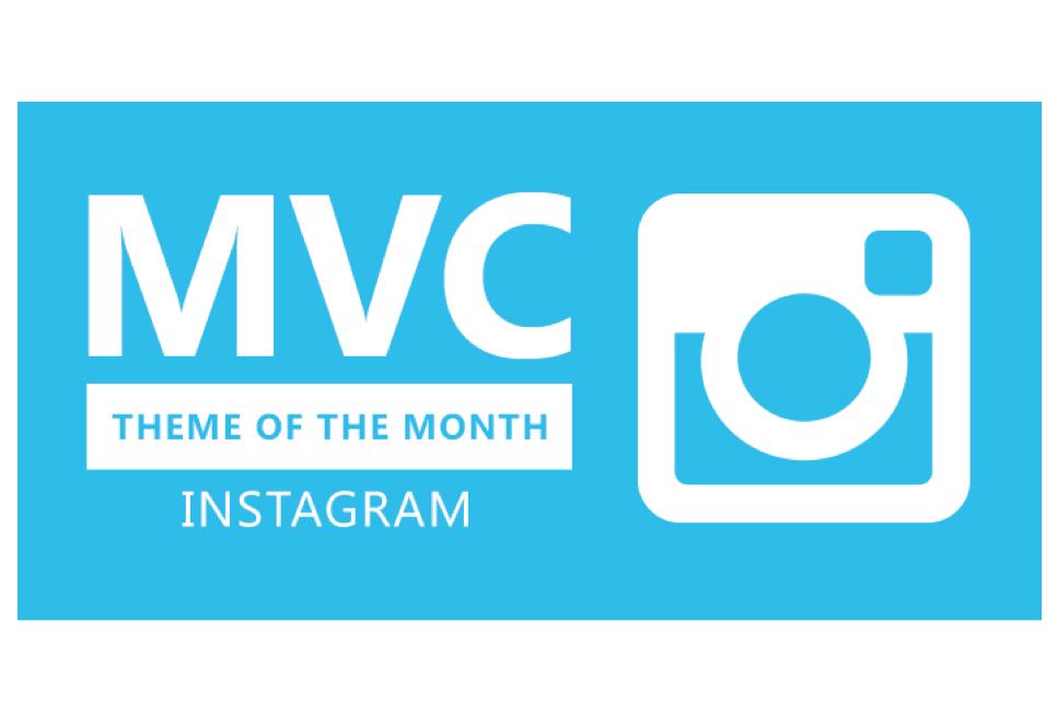 MVC theme