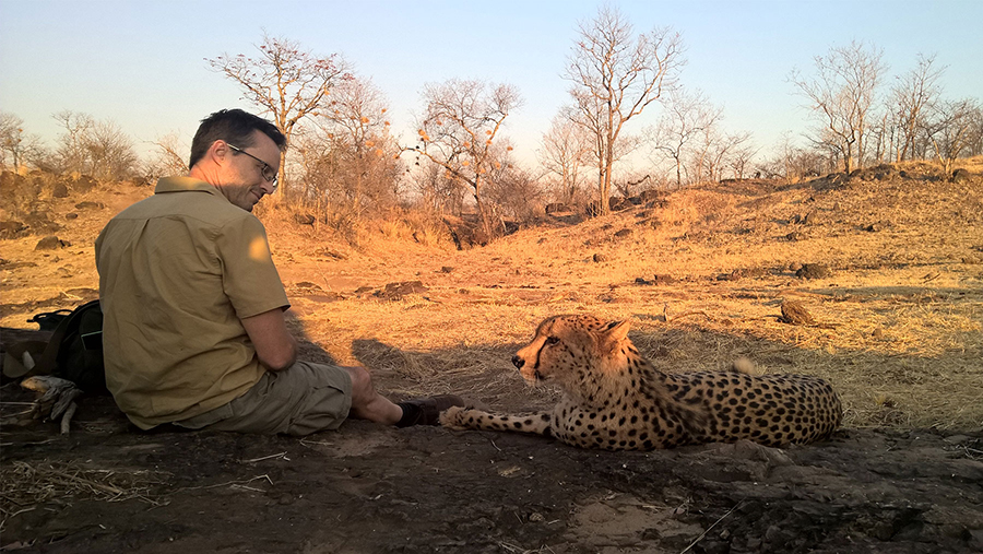 Stephen getting to know Sylvester, Cheetah Ambassador. 