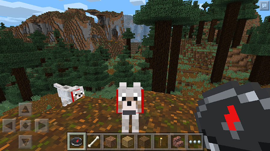 Minecraft-Pocket-Edition_Screenshot1