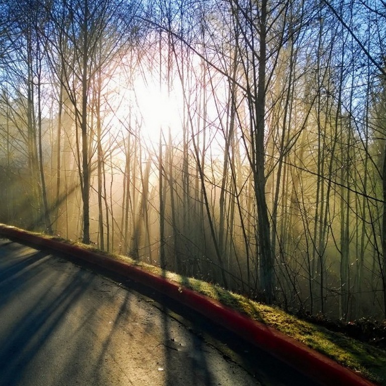 Lumiainstagram4