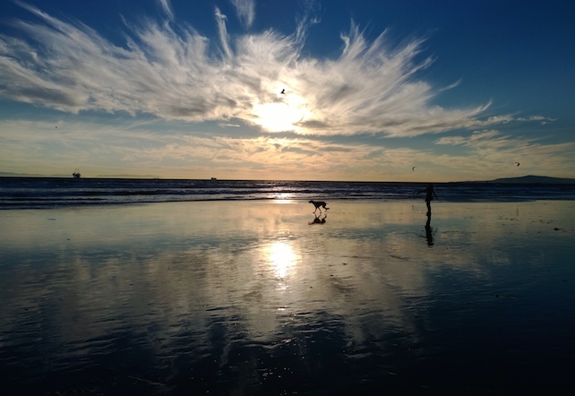 Running, Dog Beach