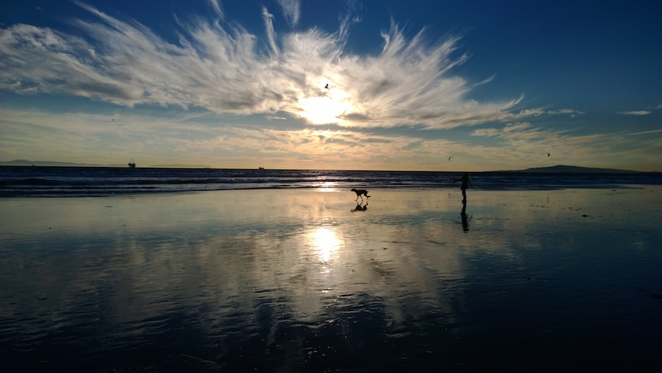 Running, Dog Beach