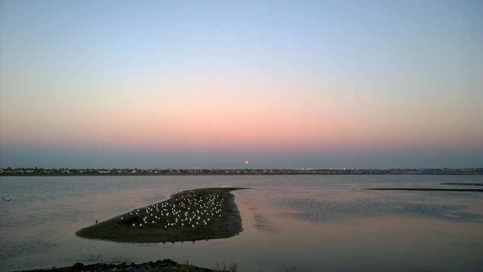Full Moon Rising