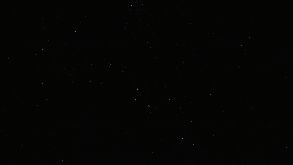 Orion
