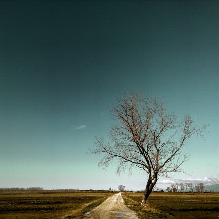 Lumiainstagramer1