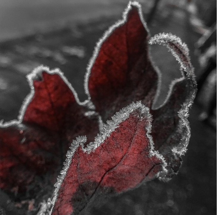 Lumiainstagramer9