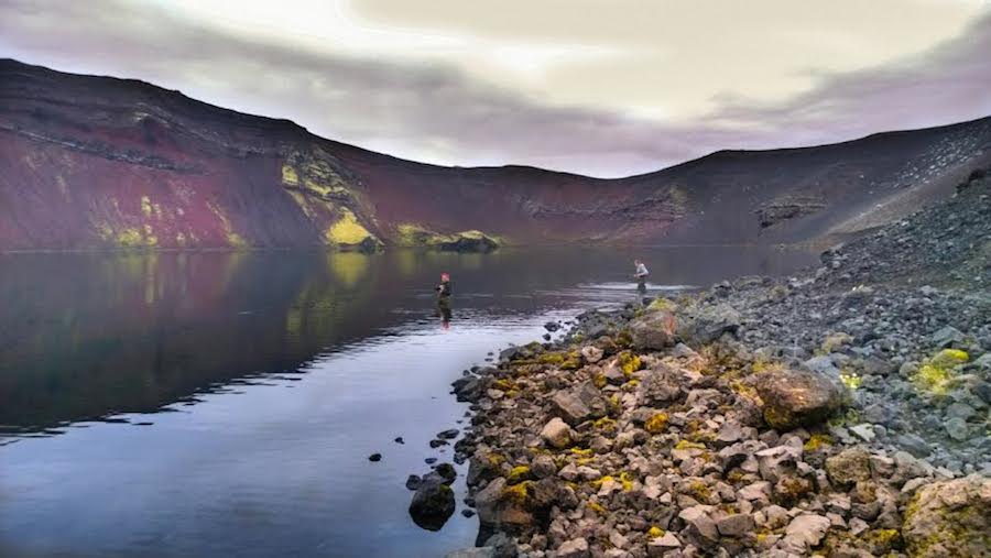 Arnar 6