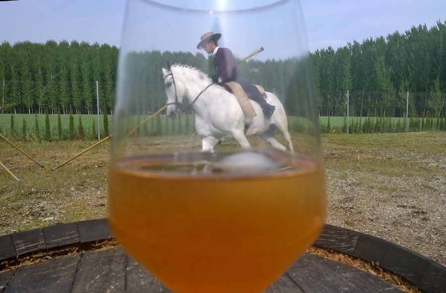 Lucia-Fern†ndez-SPAIN