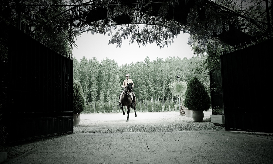 Sarah-Millan-GERMANY