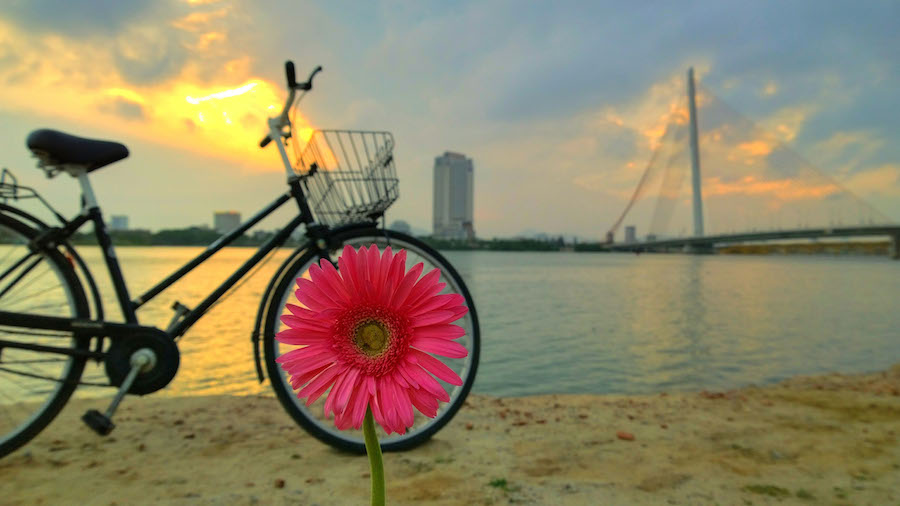 minh thanh 8