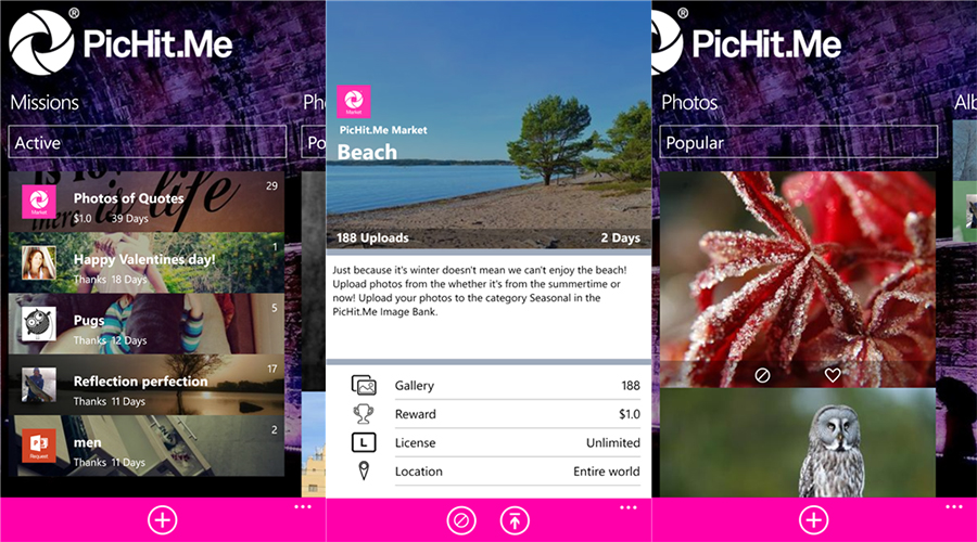 PicHit