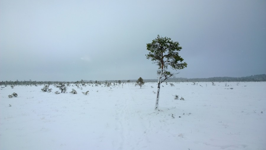 WP_20150204_14_03_38_Pro__highres (Large)