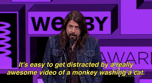 giphy 4