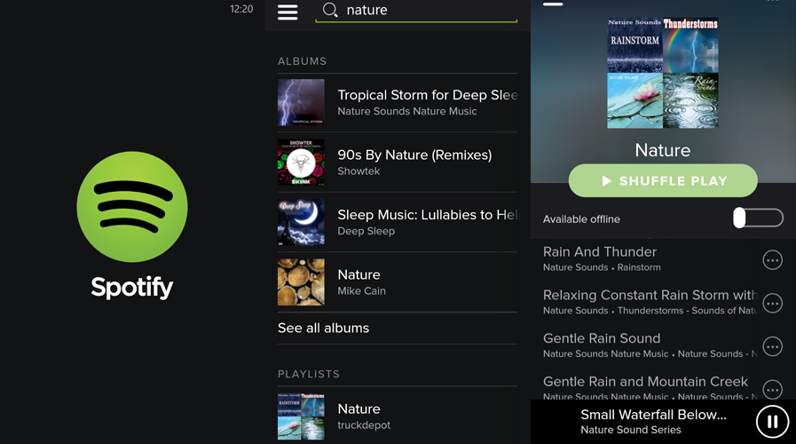 spotify copy