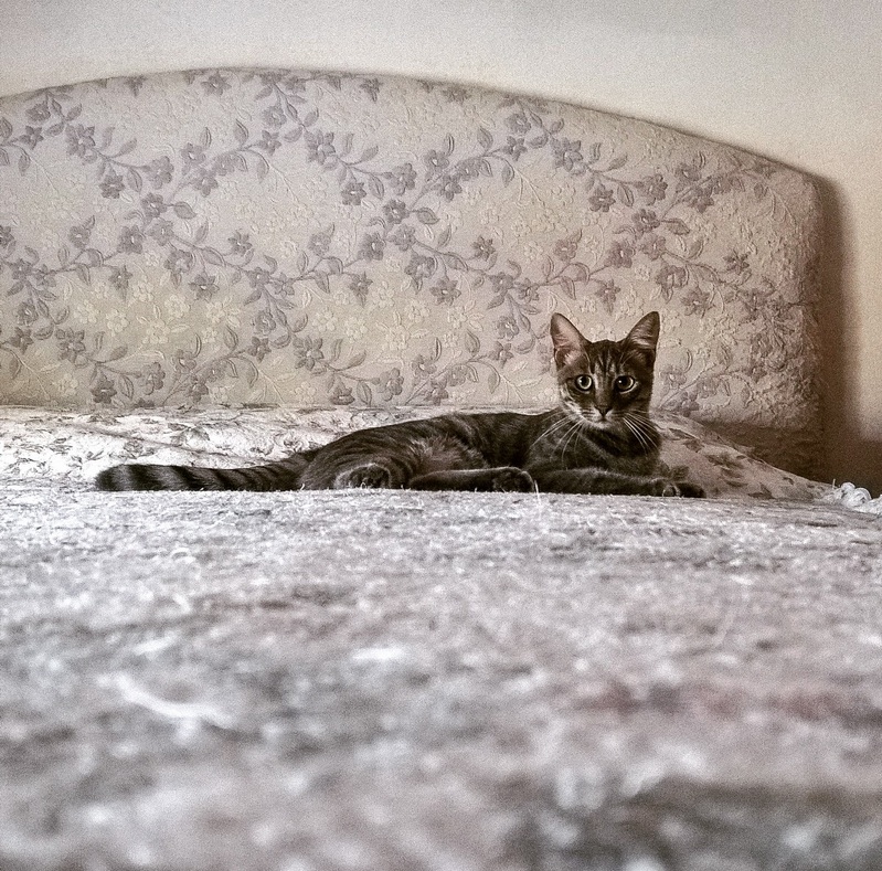 gabriele_pardini 2