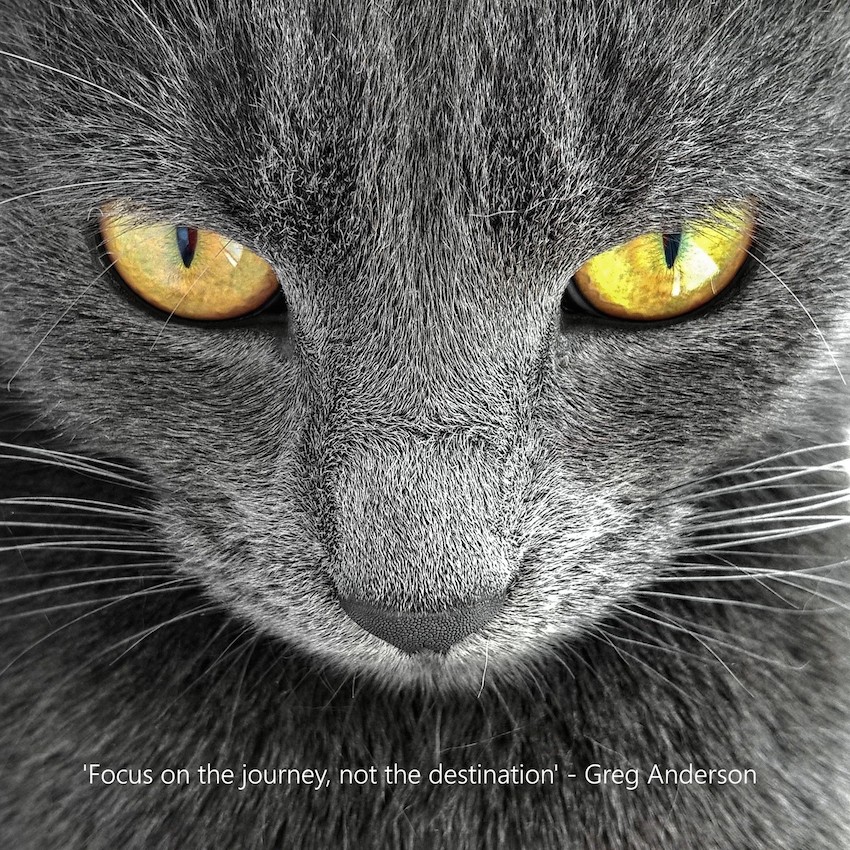 Lumia Challenge Inspiration