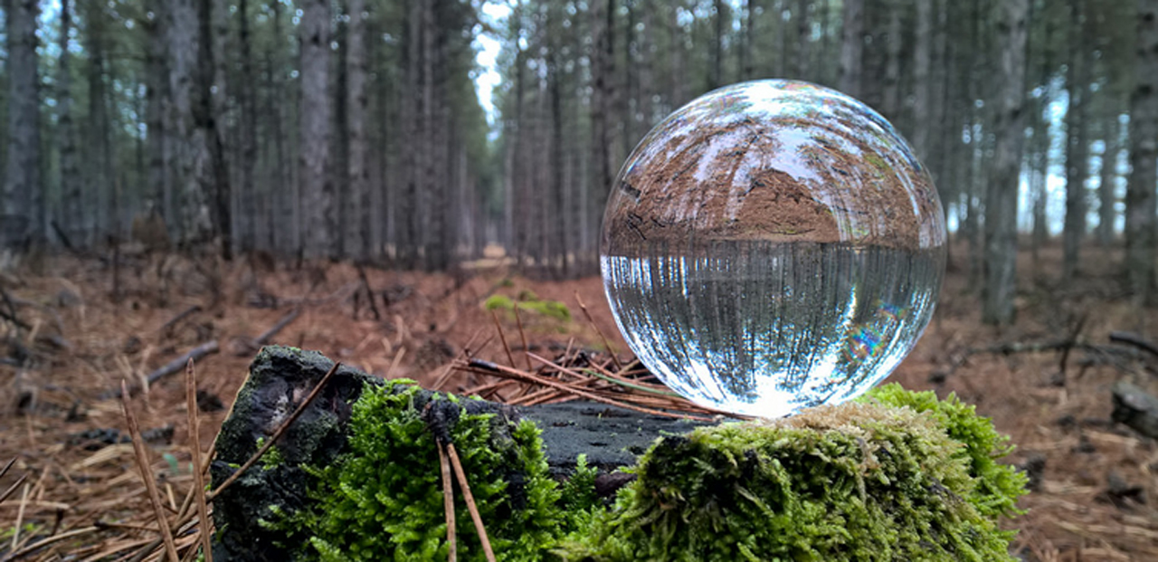 LumiaChallenge_Inspiration-winner_Feat