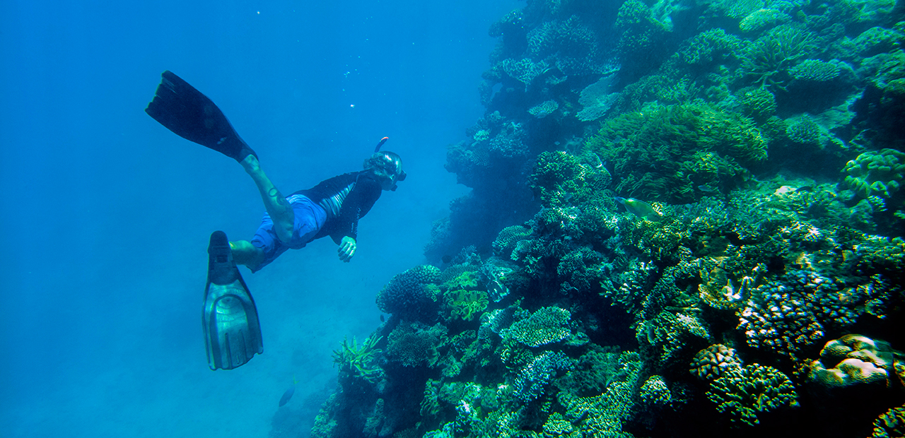 Featured image for GBR post on MDB blog.