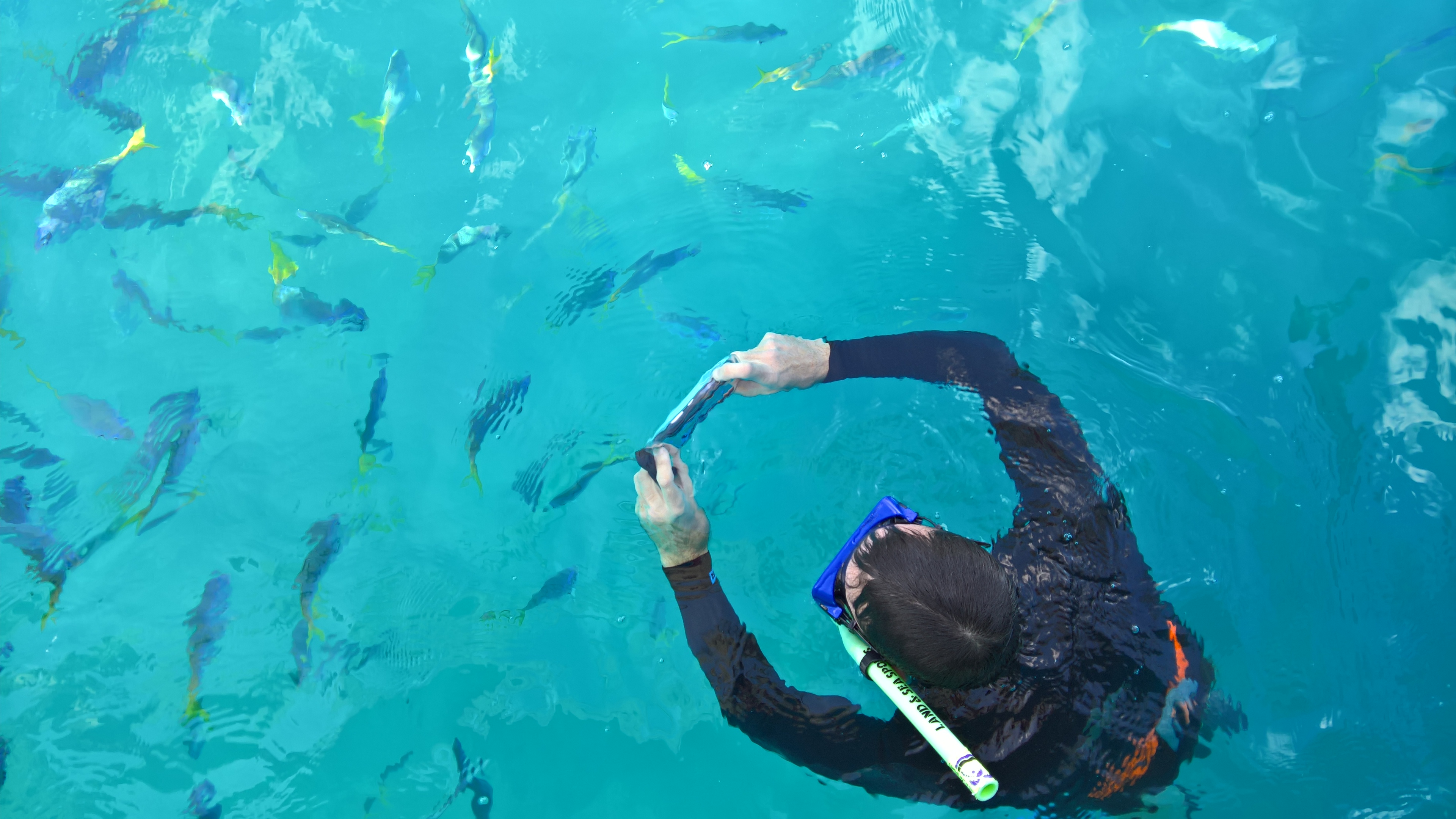 Stephen Alvarez photographing Great Barrier Reef