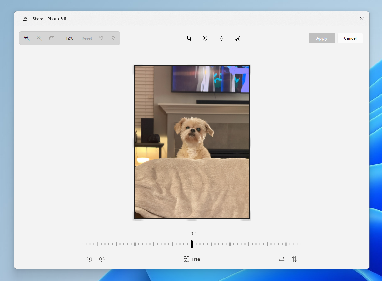 The image editing experience from the Windows share window with a picture of the dog Kilo.